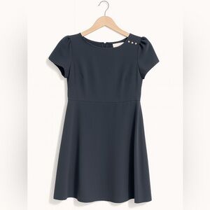 Ann Taylor Loft Gray A-Line Career Dress Size 2 Short Sleeve Button Detail